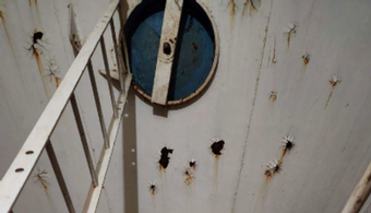 Contractors Needed for MO Water Tank Coating