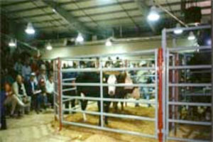 Steel surfaces at Clemson University’s T. Garrison Arena’s cattle complex are to be painted.