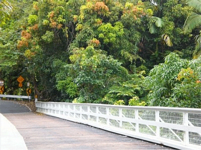 Reed's Island Bridge