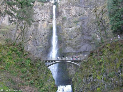 The Multnomah Falls Footbridge